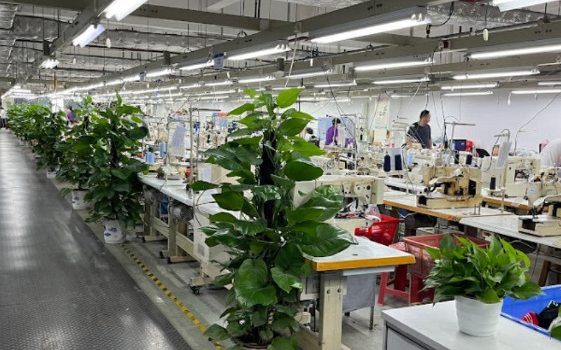 Image of sewing machines in factory with large green plants.