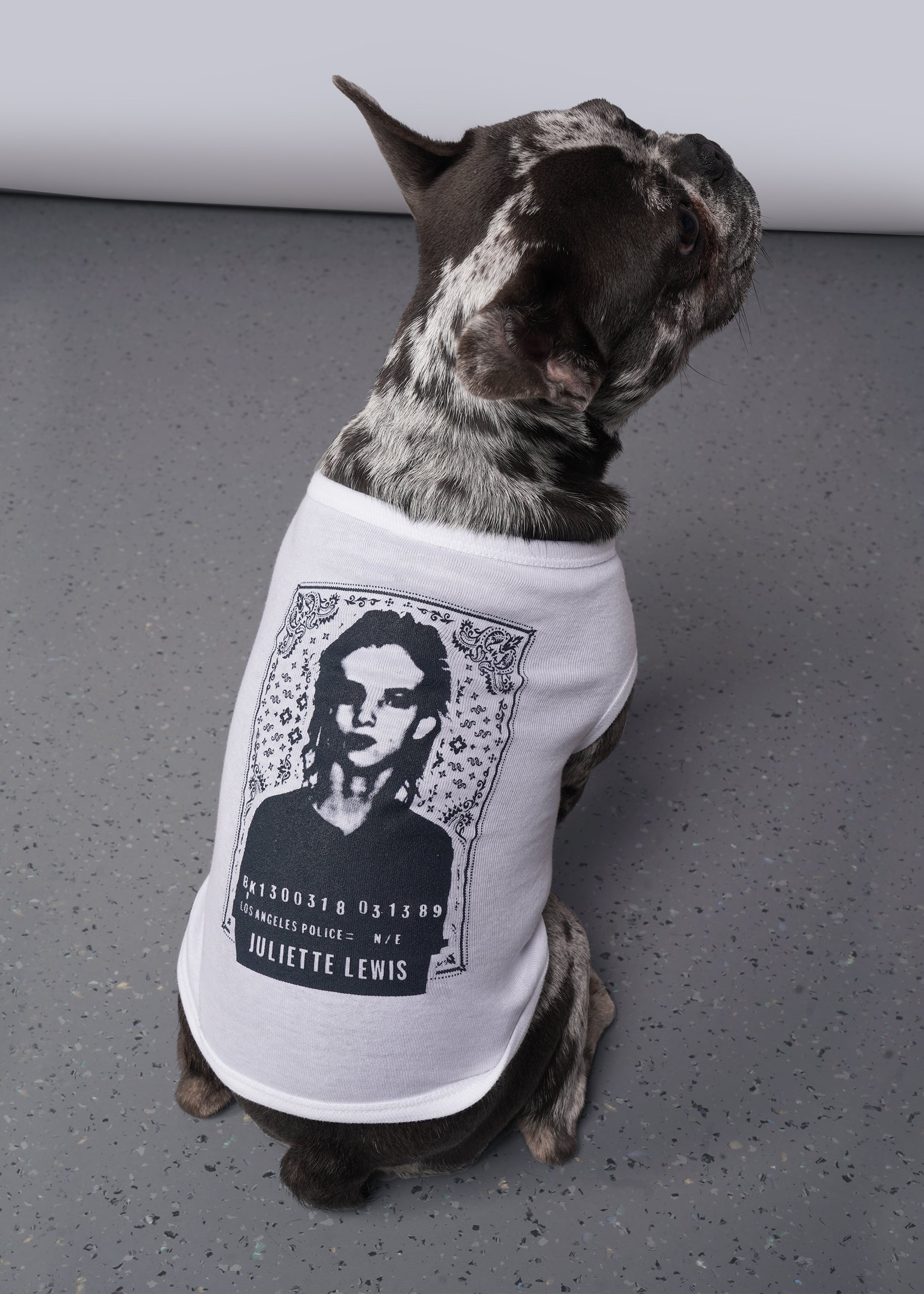 Black and grey french bulldog wearing The Juliette Lewis x Wildfang bandit tee.